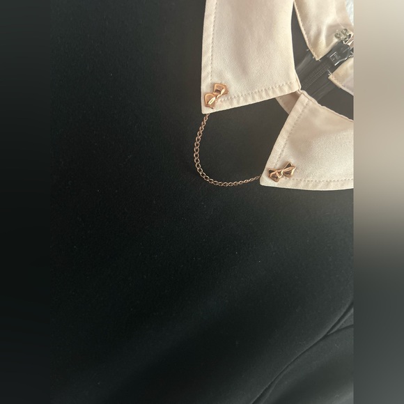 Ted Baker Wubty Dress Size 1 - Picture 5 of 7